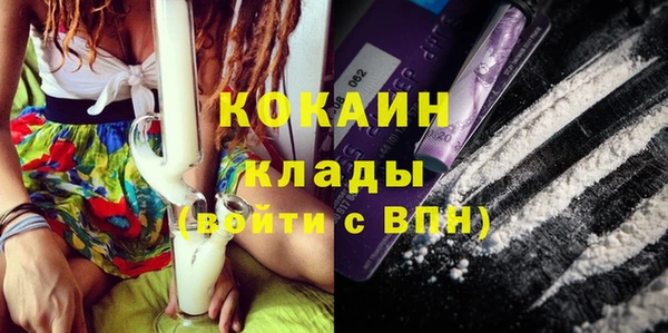 mdpv Няндома
