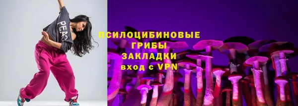 mdpv Няндома