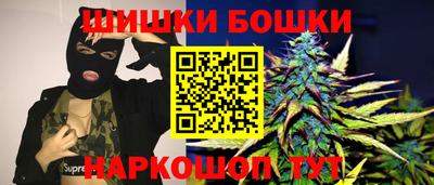 индика Нягань