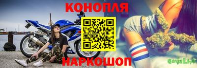 индика Нягань