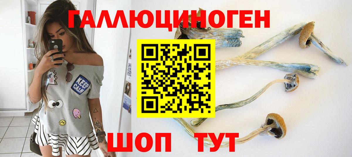 Псилоцибиновые грибы мухоморы  Псилоцибиновые грибы мухоморы  Вход с VPN  Фурманов 